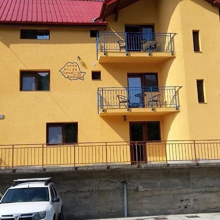 Casa Milos Si Fiul Băile Herculane Exterior foto